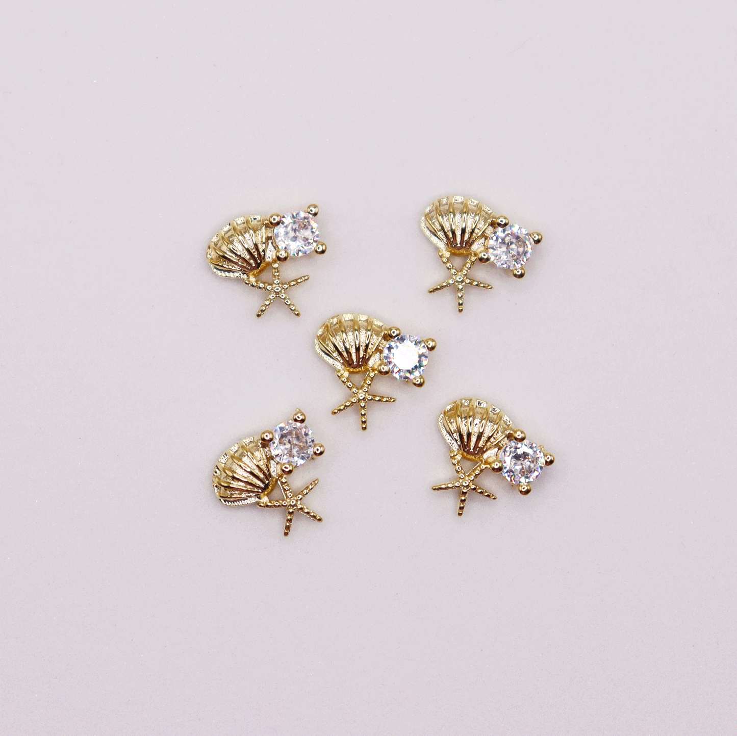 Sea shell 5pcs