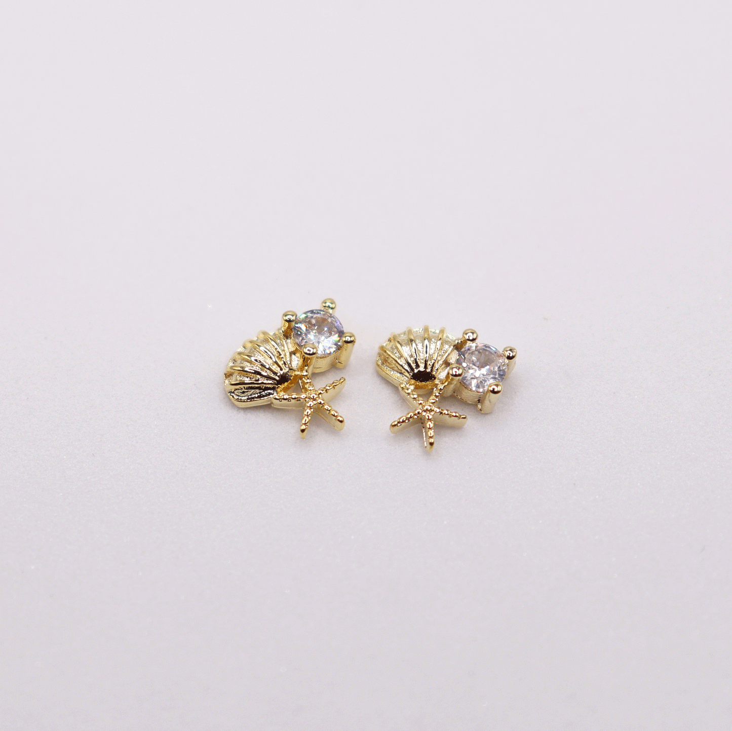 Sea shell 5pcs