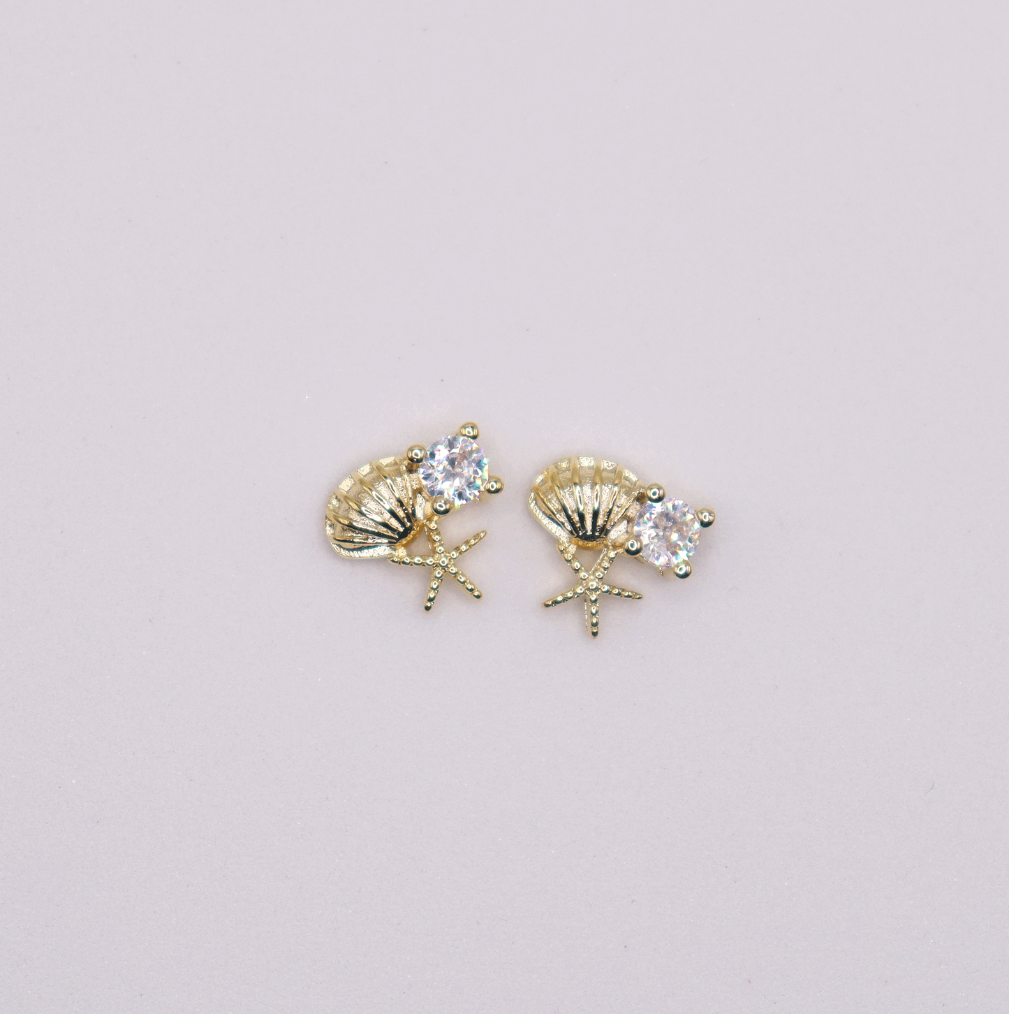 Sea shell 5pcs