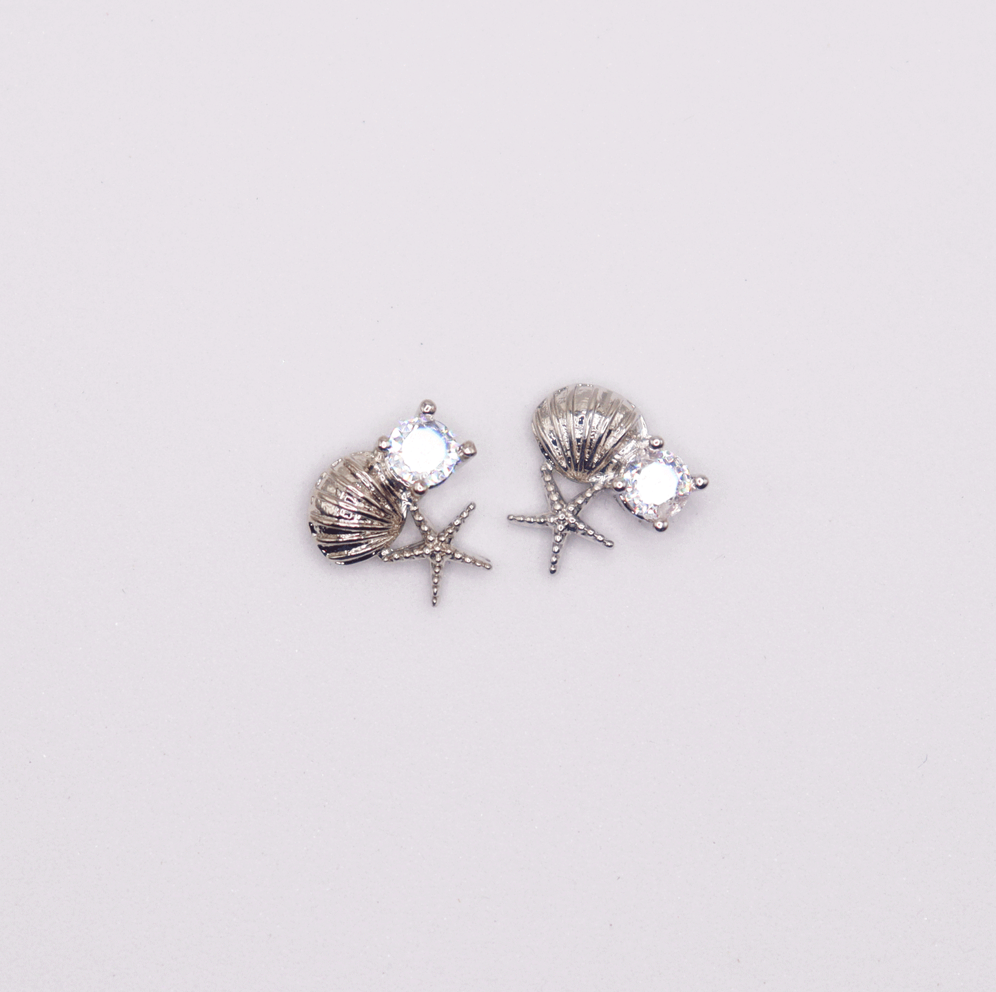 Sea shell 5pcs