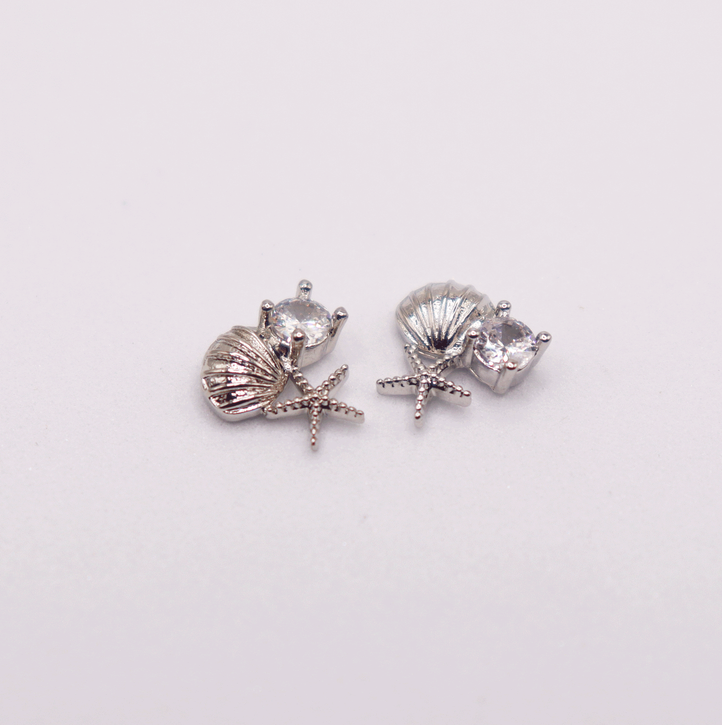 Sea shell 5pcs