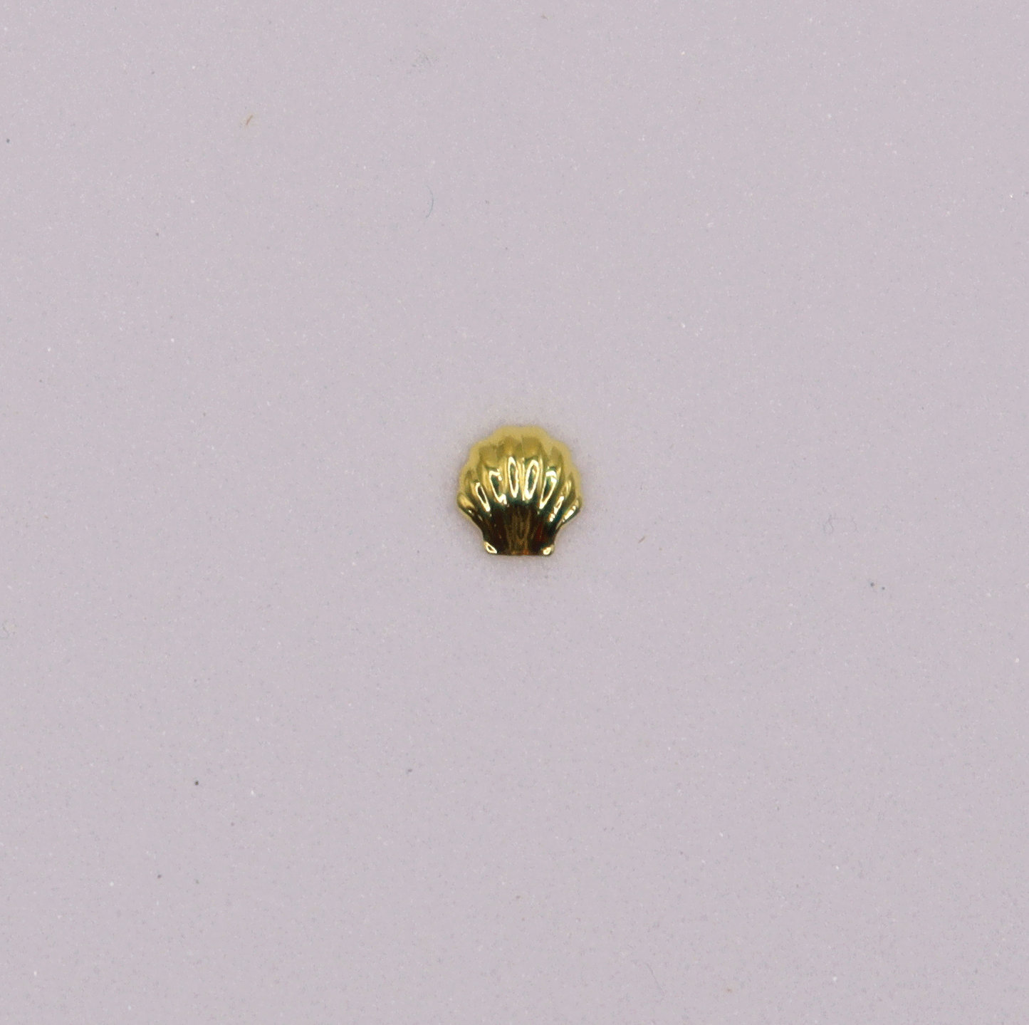 Sea shell